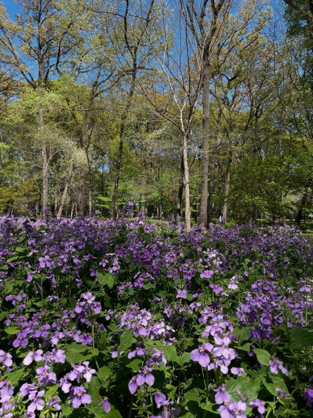 Instagram 投稿 18101981803759462